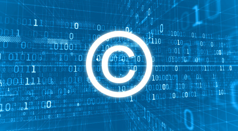 protect your software intellectual property using a software anti-piracy system